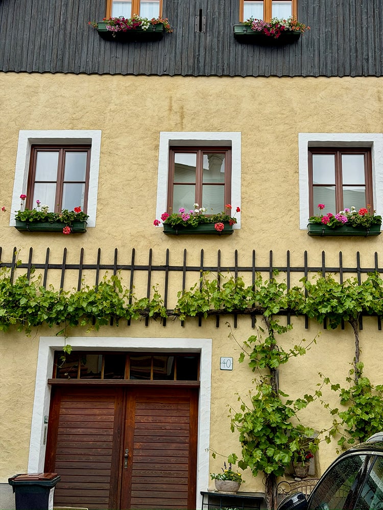 05.15.26 Dürnstein13