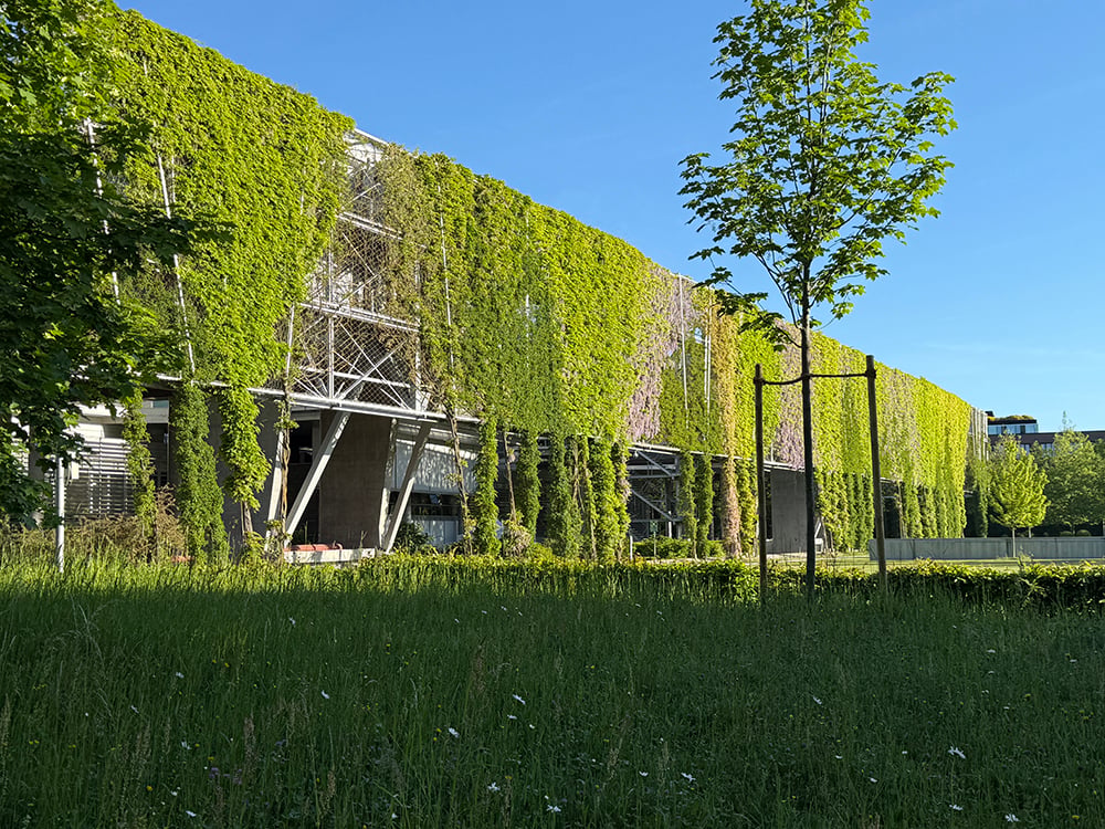 05.22.26 allianz3