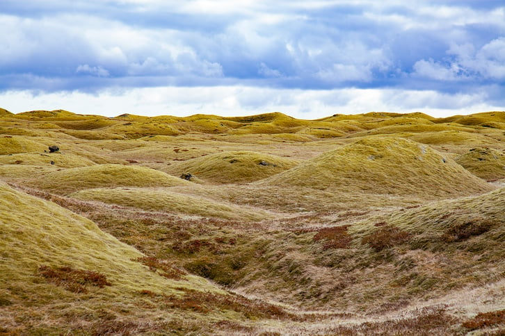 051723 landscape mounds 1