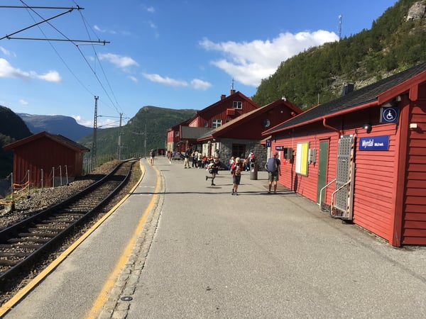 Myrdal Train Station