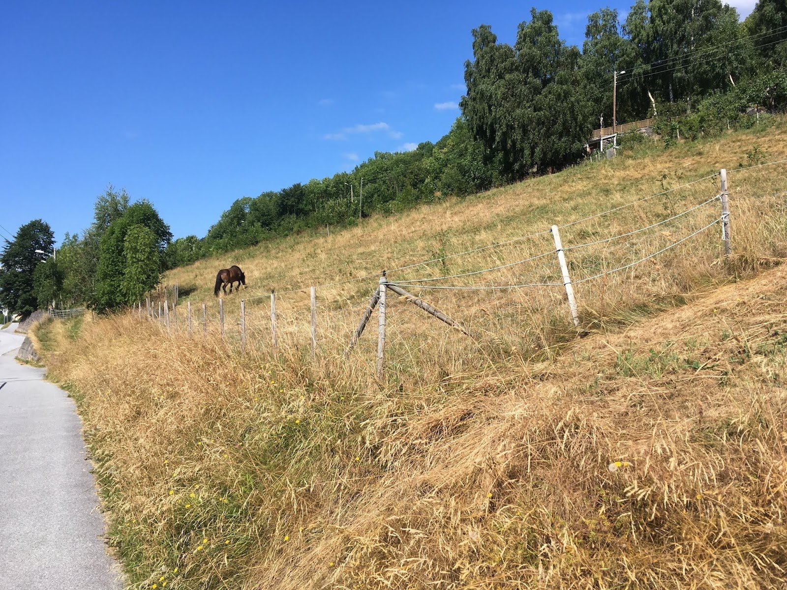 2018.07.20-hillside