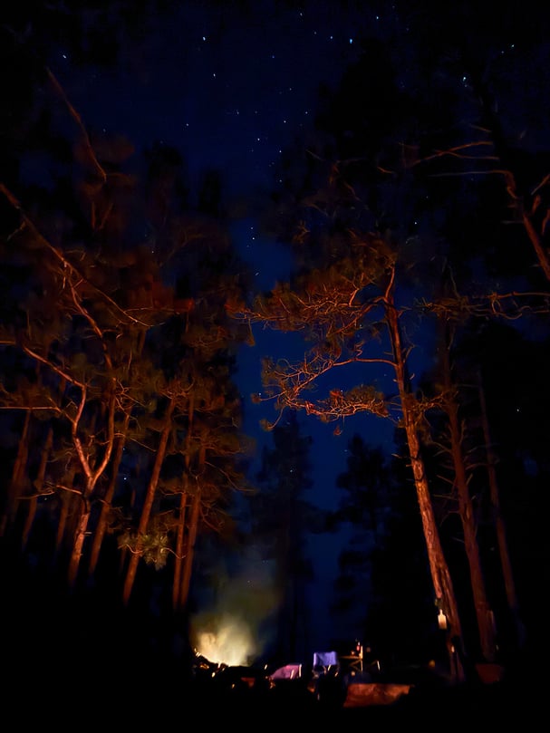 0627 Pickerel fire and stars