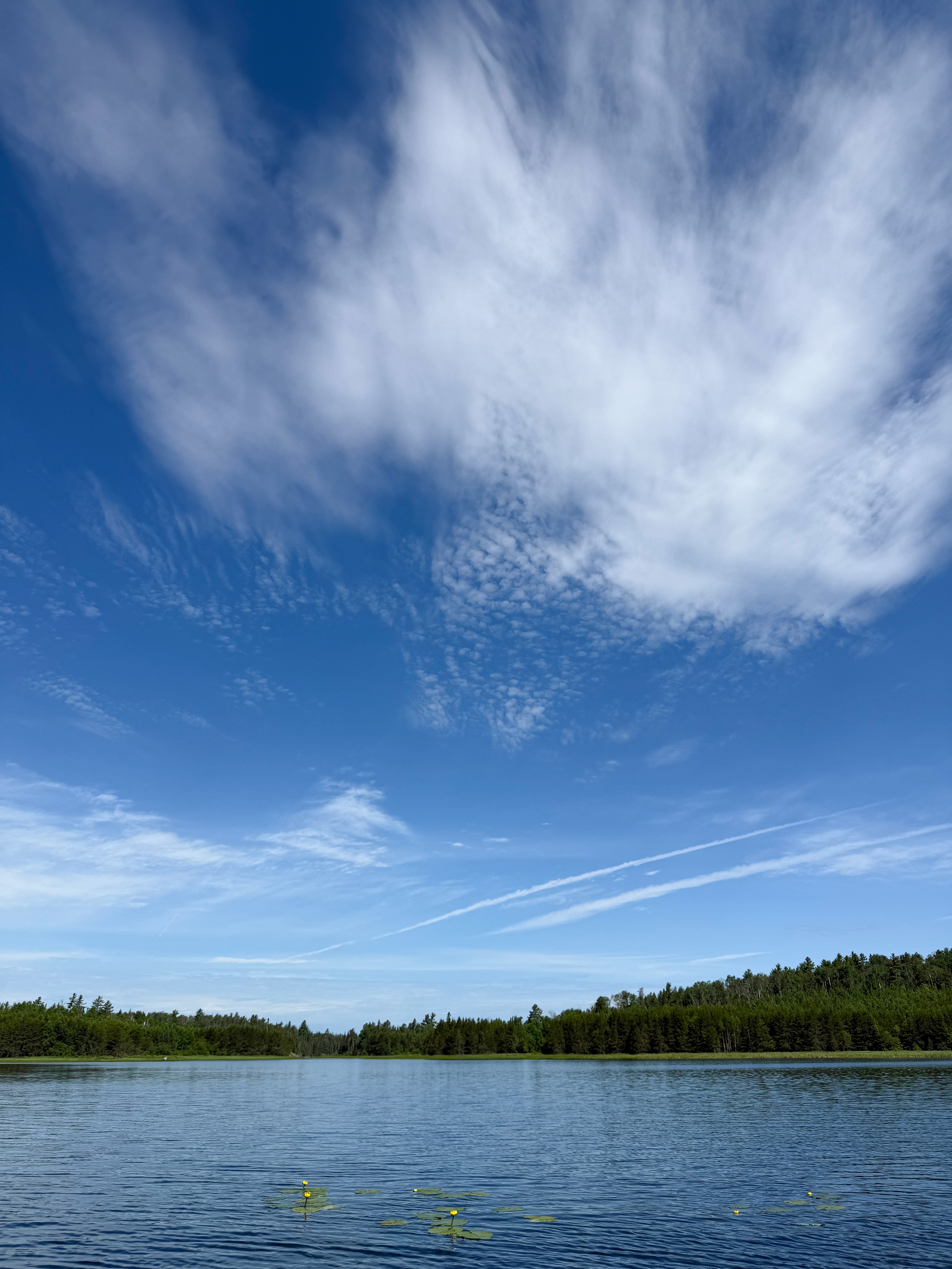 Pickerel Sky