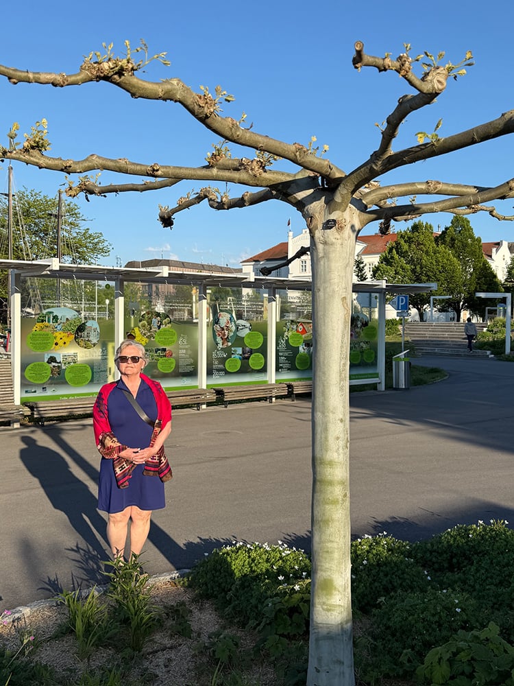 5.13.26 Tulln4