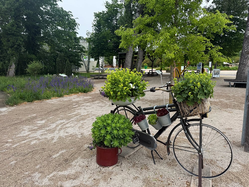 5.14.26 Garden3