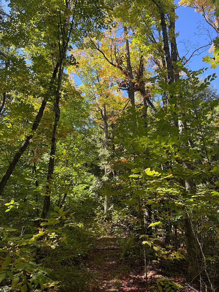 20260922 Gogebic2