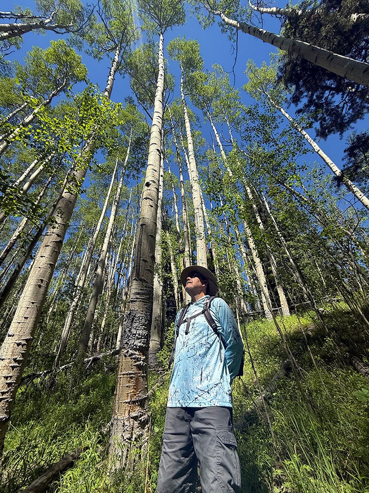 061626 JR hike aspens
