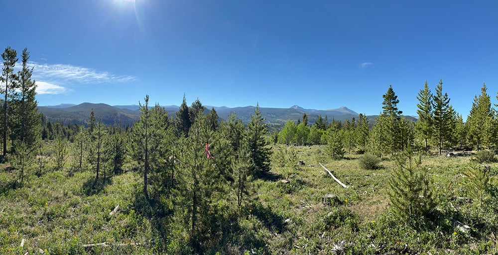 061726 Day 8 hike2