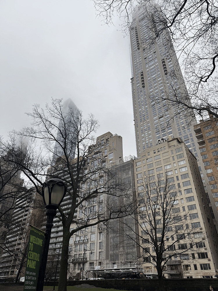 Central Park, looking up at the fog that surrounds the tall buildings.