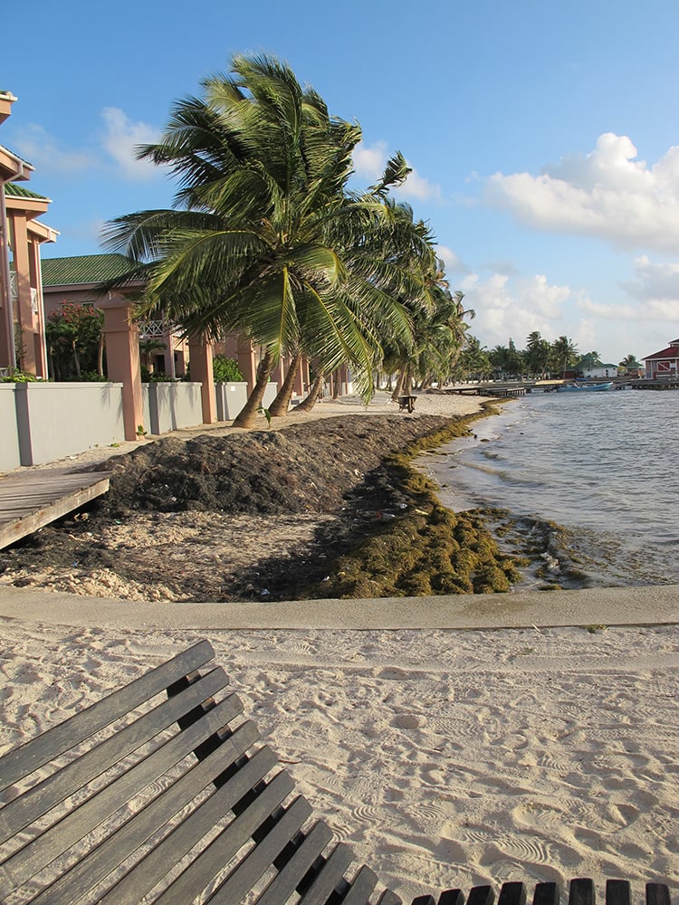 02202014 Resort4