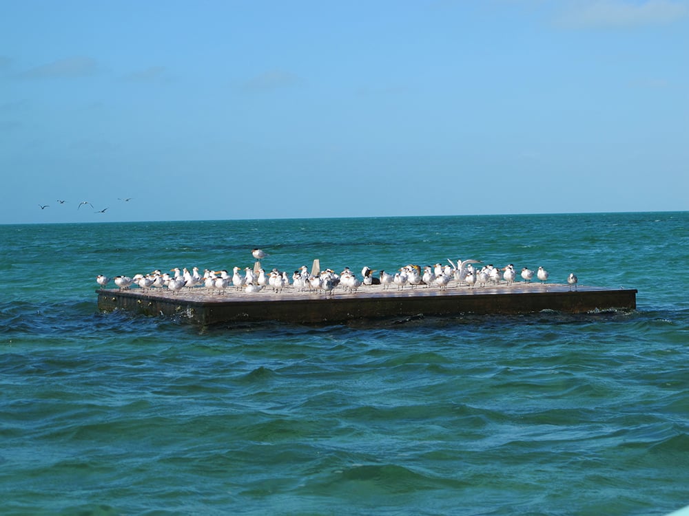 02212014 BirdTour2