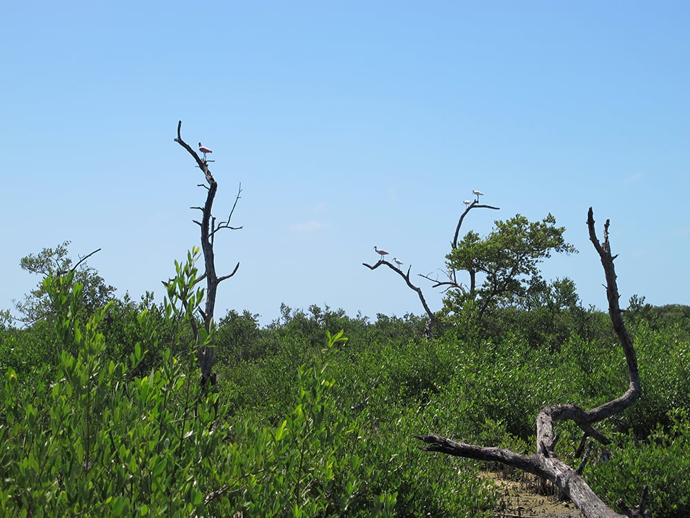 02212014 BirdTour4