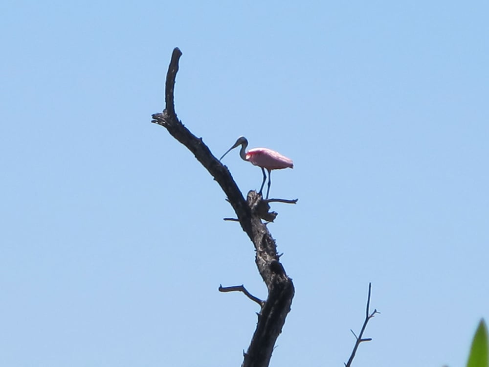 02212014 BirdTour5