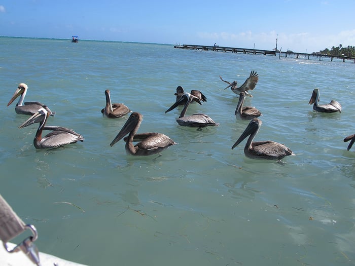 02212014 BirdTour9
