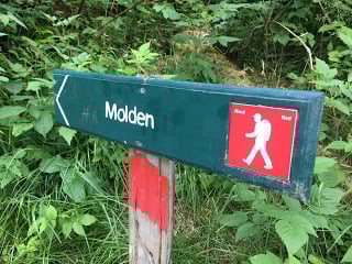 Mt Molden hiking trail