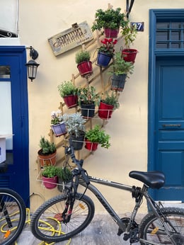 Napflio Bicycle w flowers-1