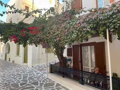 Naxos tour street flower tree