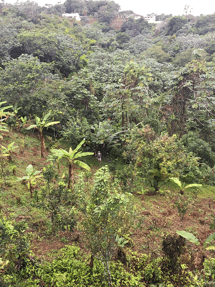 Jim on the path below Casa Flor
