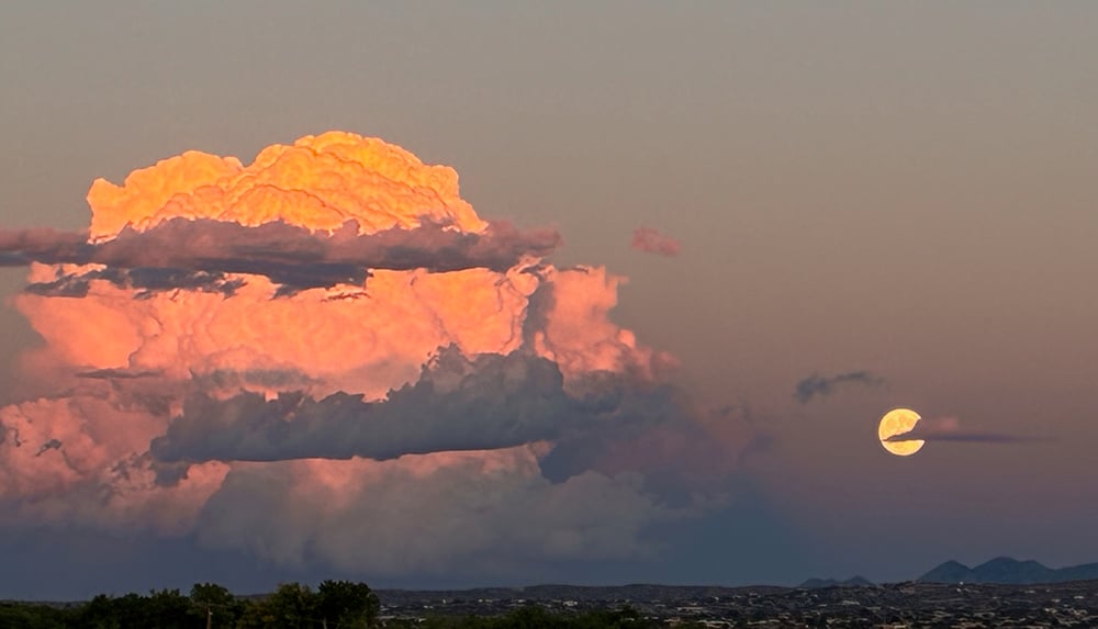The view from the top of the Carlito Spring hike